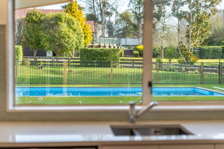 101 Emerald Hill Drive Birchville_8