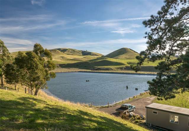 5468 State Highway 1 Seddon_3