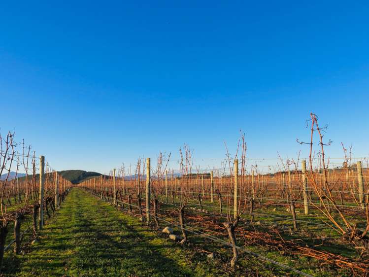 716 Waihopai Valley Road Waihopai Valley_5