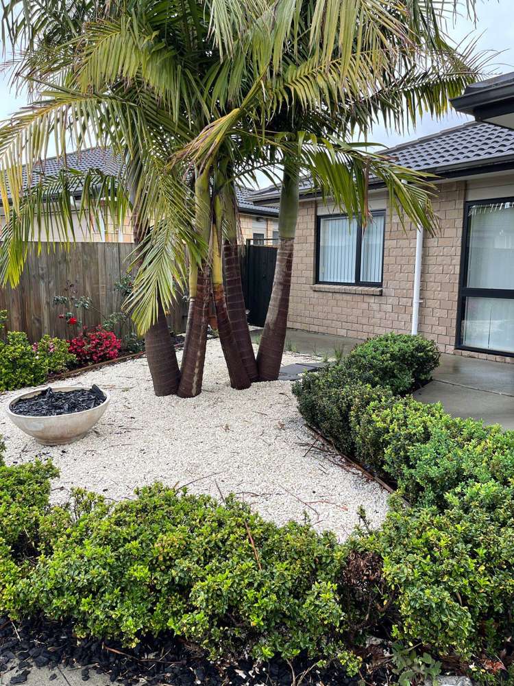 41 Chapel Road Flat Bush_10