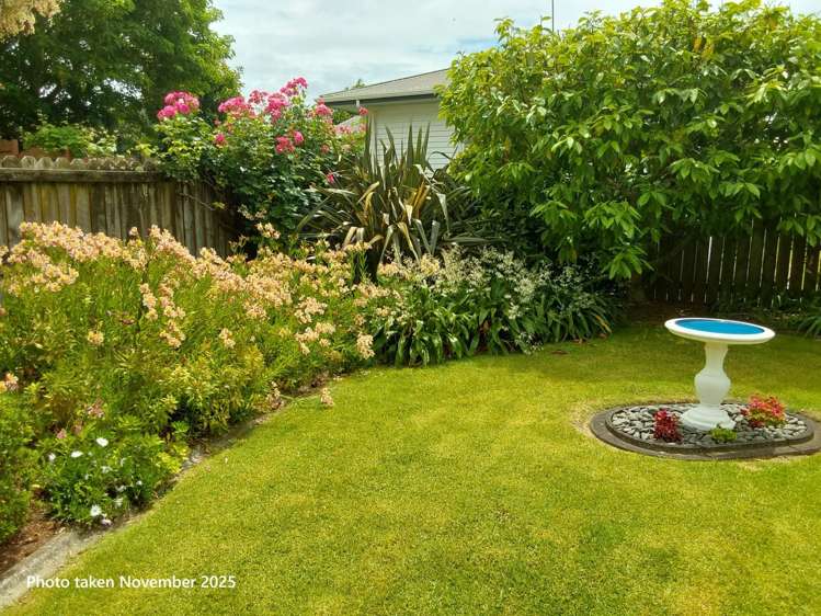 237A Levers Road Matua_26