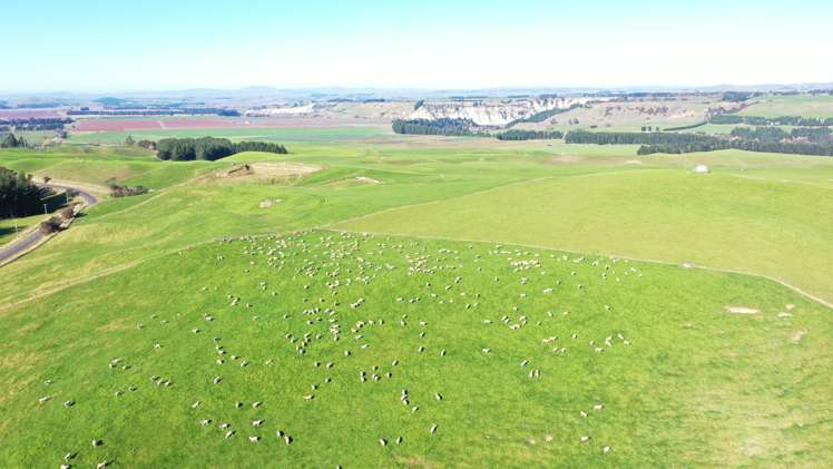 2029 Matapiro Road Crownthorpe_28