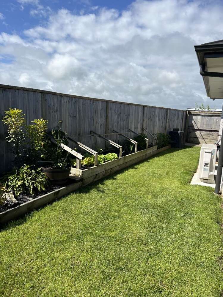 6 Warlock Way Papamoa_12