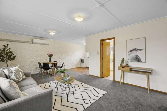 9b Richmond Street Forbury_4