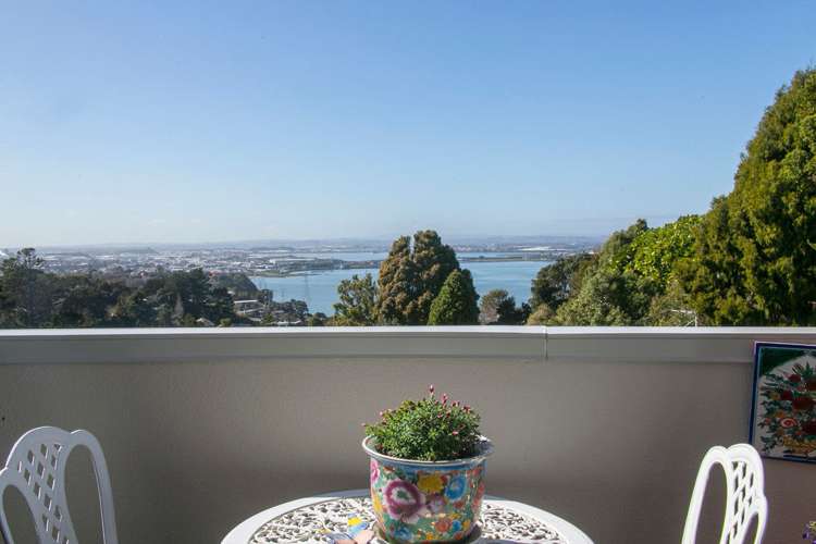 2 Goodall Street Hillsborough_1