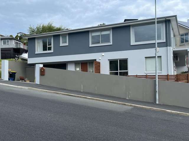 204A Somerville Street Shiel Hill_1