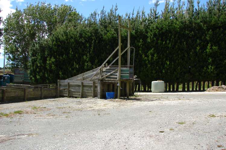 493 Rakahouka Hedgehope Road Winton Surrounds_13