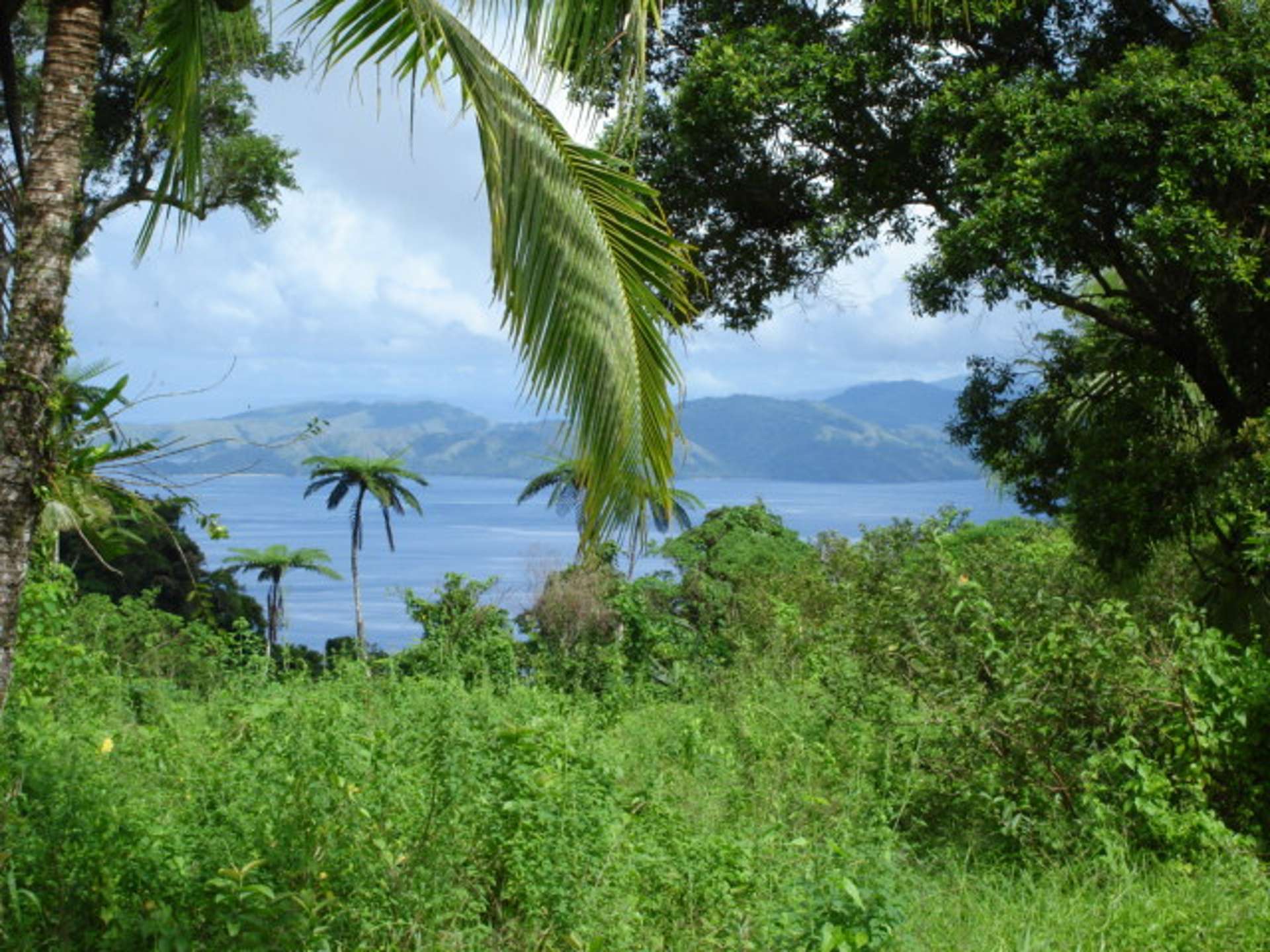 Lot 21 Tavumaca, Taveuni Vanua Levu_0