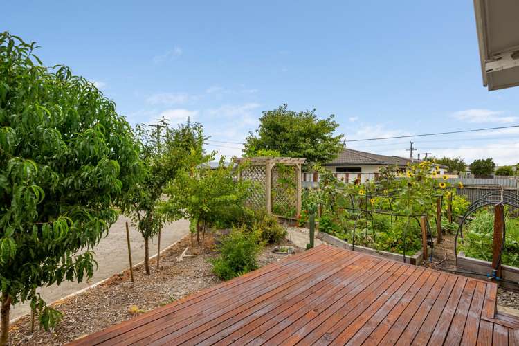 4 Purser Crescent Witherlea_32