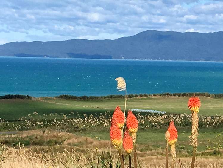 617 Papatotara Coast Road Tuatapere_15