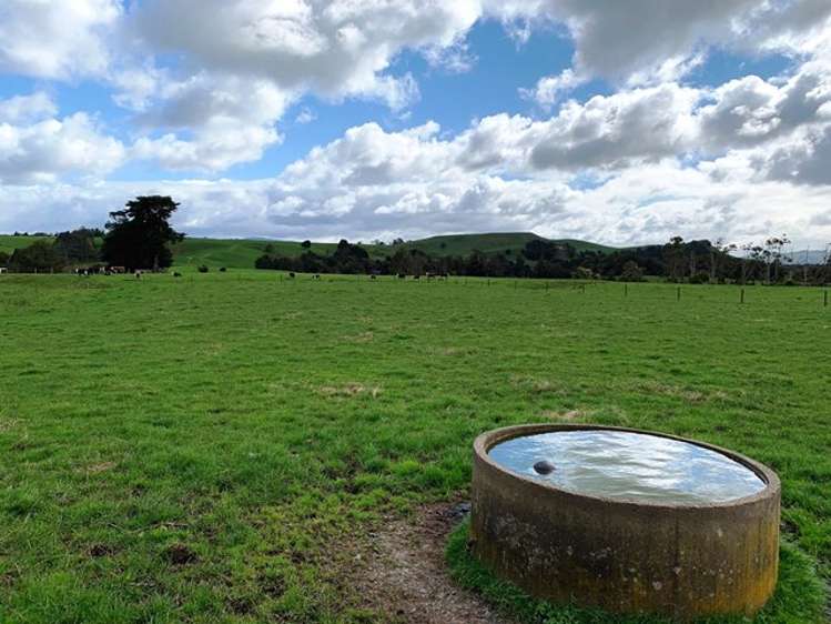 Maxwell Road Maramarua_9