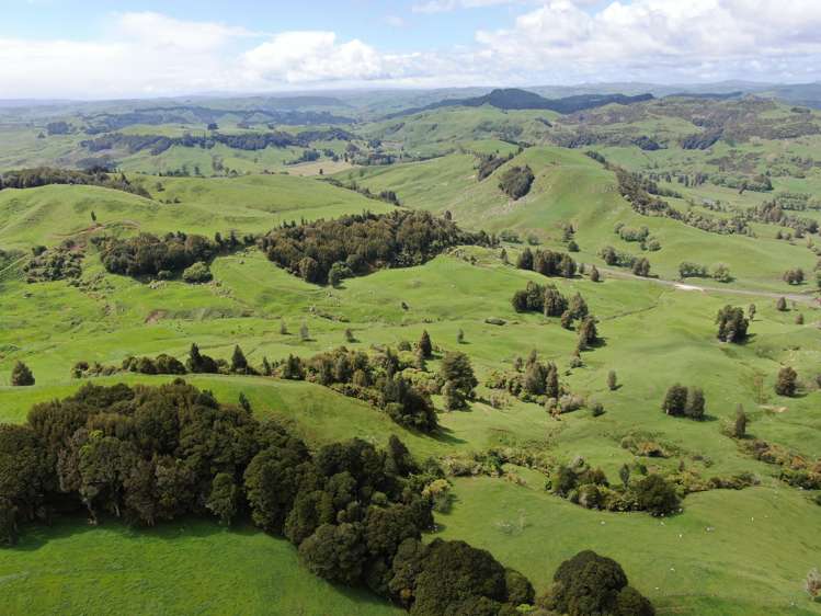 Lot (Rural)/1246 State Highway 3 Piopio_20