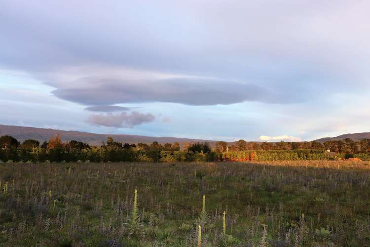 392 Letts Gully Road Alexandra_8