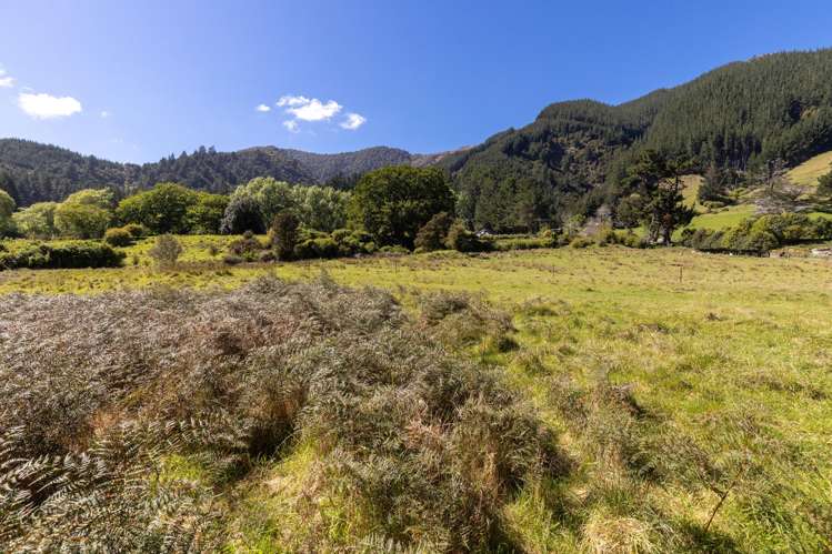 472 Wakamarina Road Canvastown_9