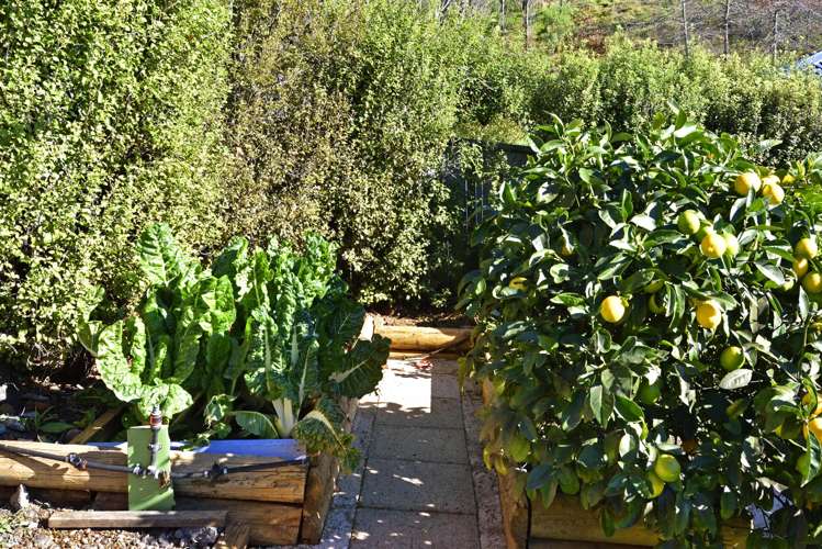 68 Panorama Drive Enner Glynn_20