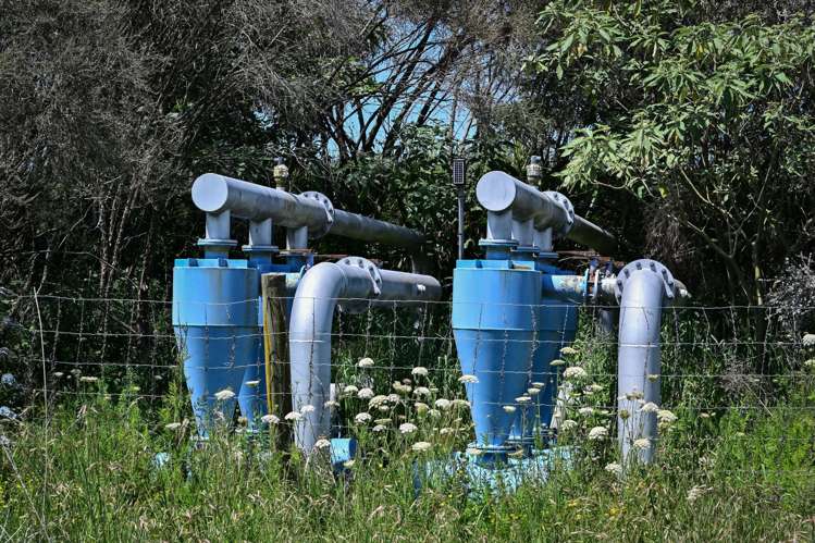 Whitmore Road Ormond_24