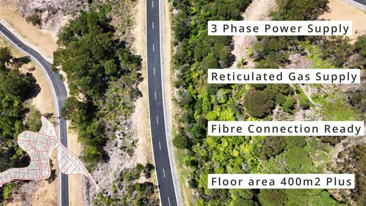 Albany Heights Road Dairy Flat_5