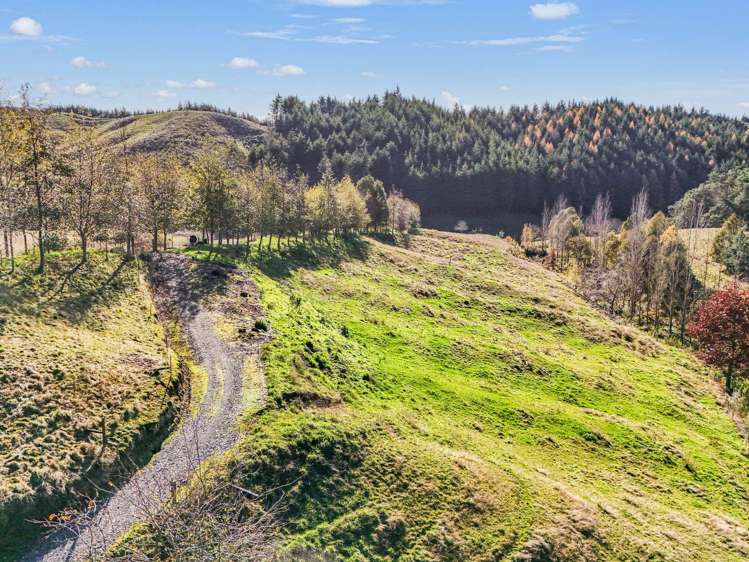 370 Rosedale Road Upper Moutere_26