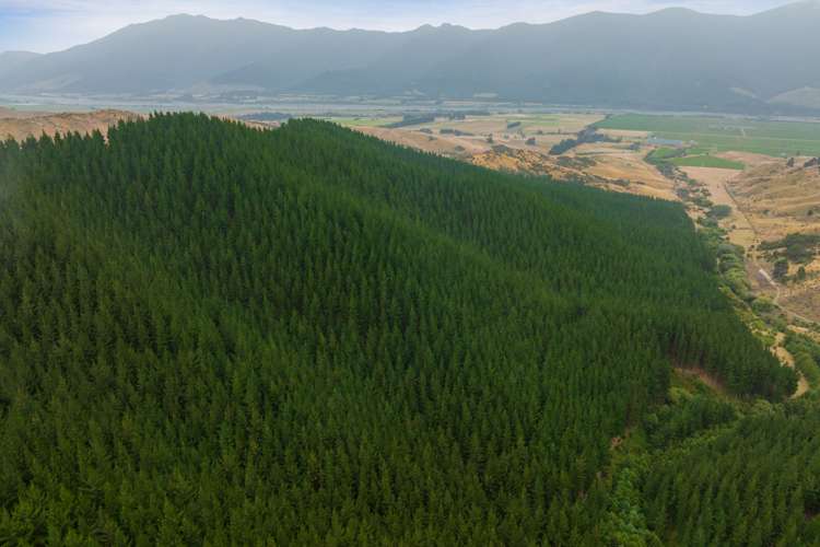 State Highway 63 Renwick_7