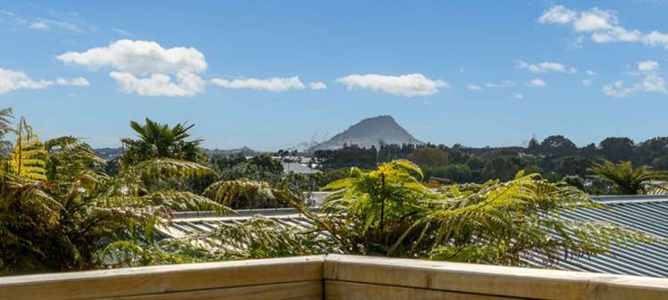 14 Te Wati Street Maungatapu_13