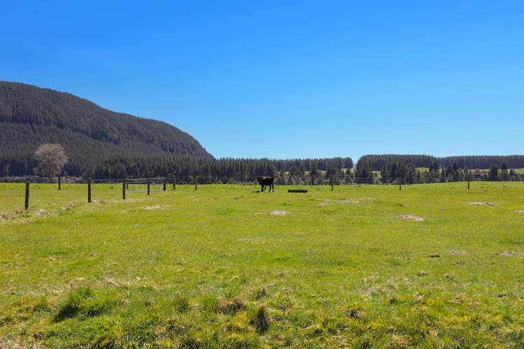 31 Tia Street Atiamuri_22