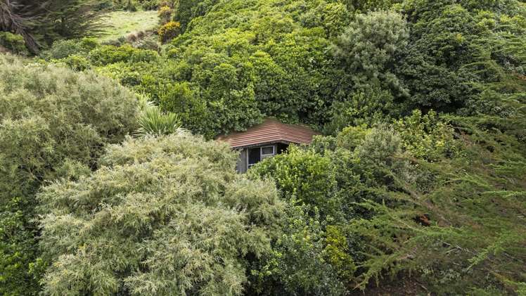 106 Harrison Hill Road Aokautere_10