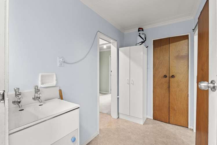 7 Pain Street Bulls_13