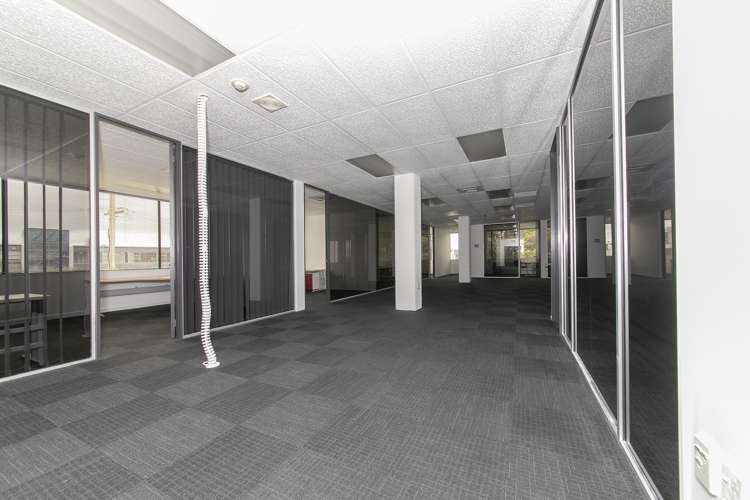 12 Walls Road Penrose_5