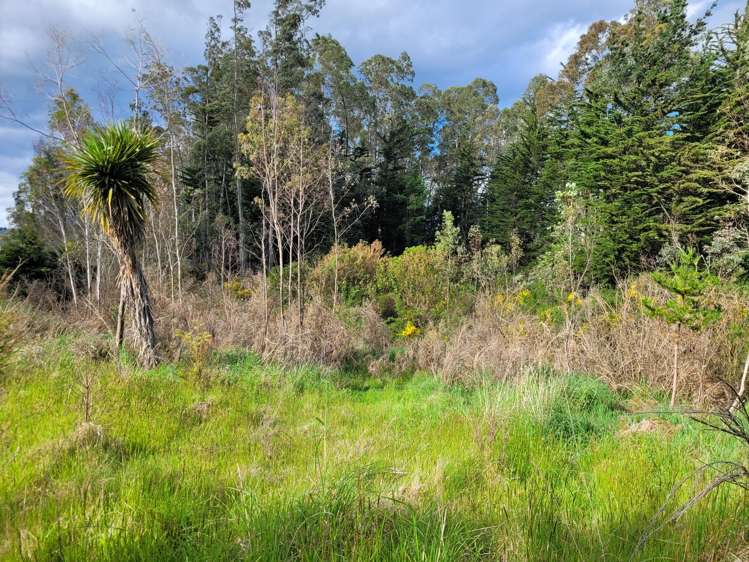 200 Nightcaps Ohai Highway_3