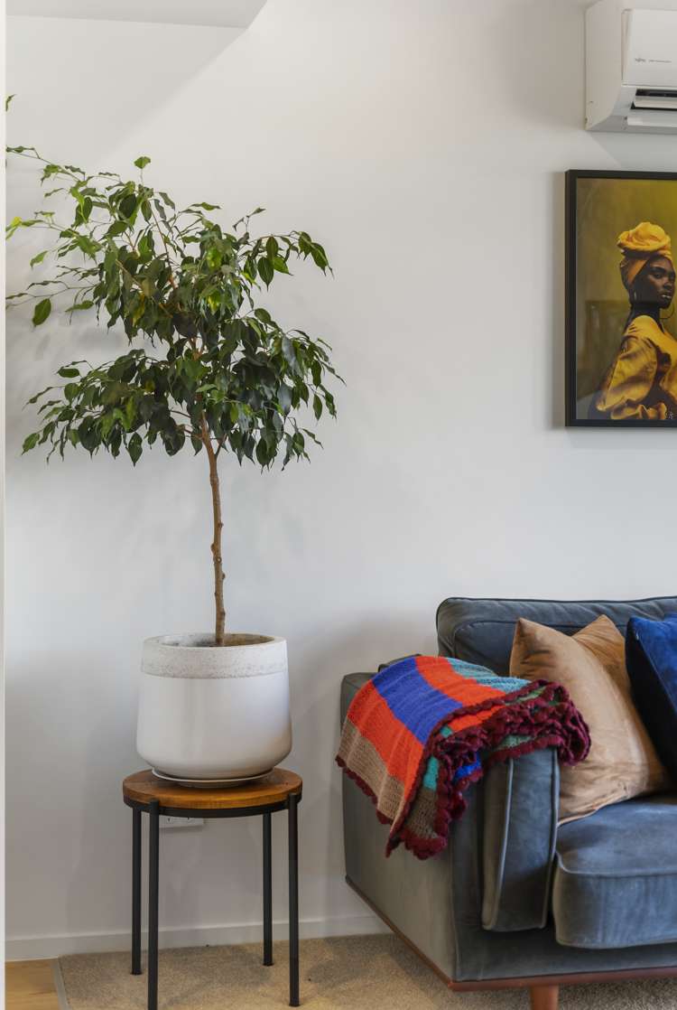 1/6 Unga Place Beachlands_9