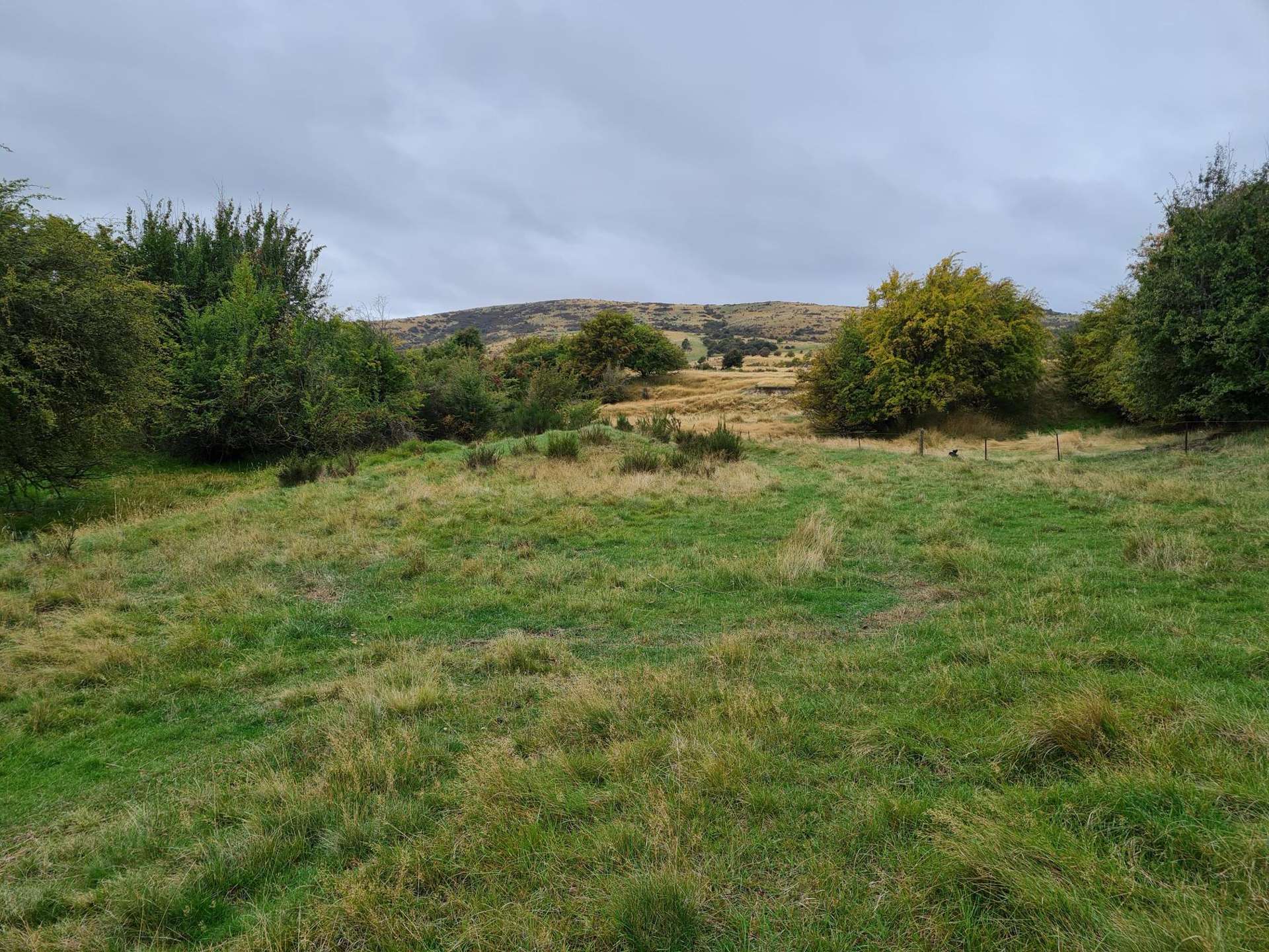 1 Coal Pit Road Idaburn_0