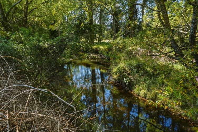 51 Station Road Loburn_20