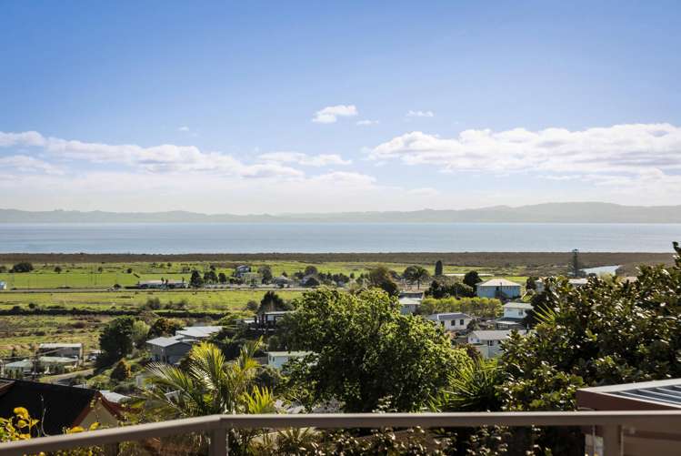 224 Reservoir Road Thames_20