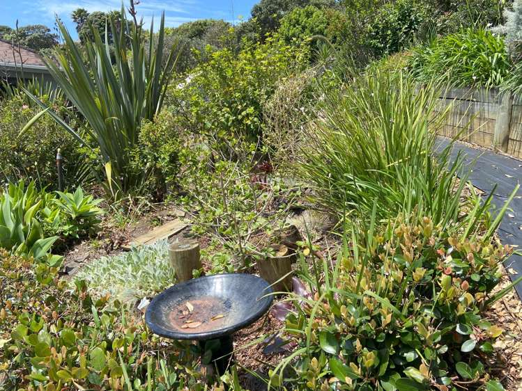 147 Foreshore Road Ahipara_38