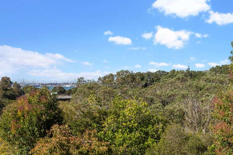 21 Tarahanga Street Northcote_27