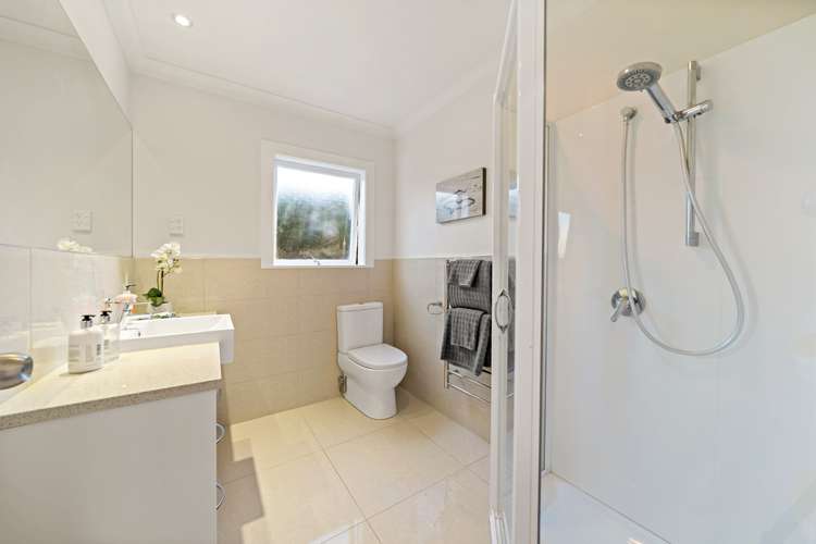 230a Campbell Road Greenlane_10