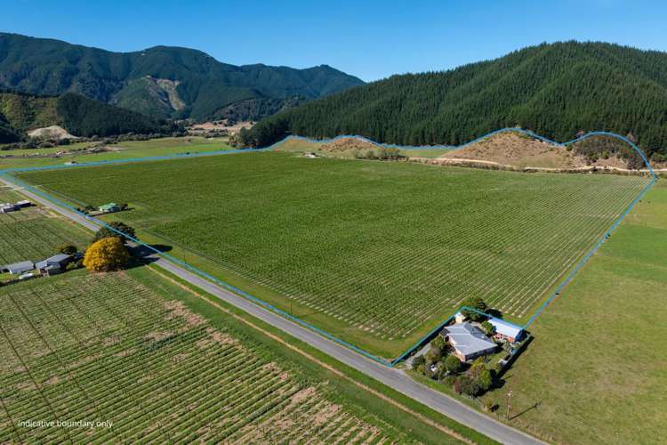 95 Speeds Road Koromiko_1