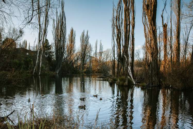 70 Lagoon Avenue Albert Town_25