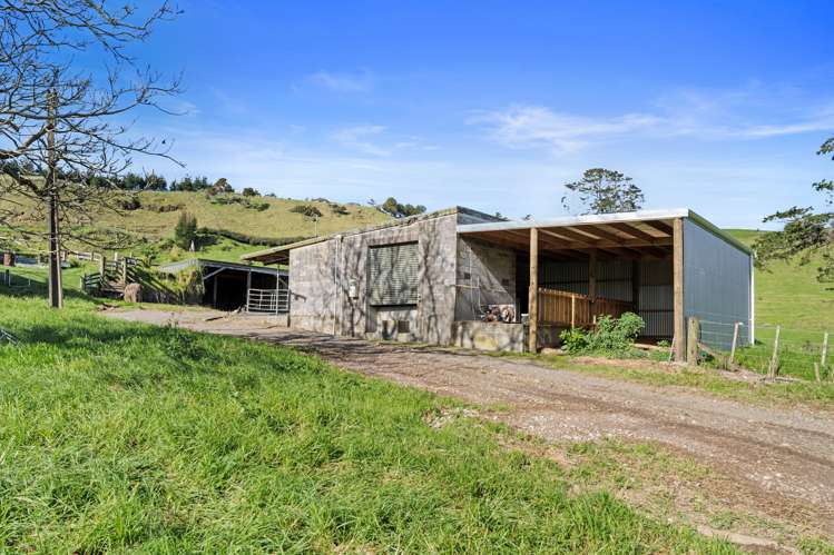 892d Welcome Bay Road Papamoa_7