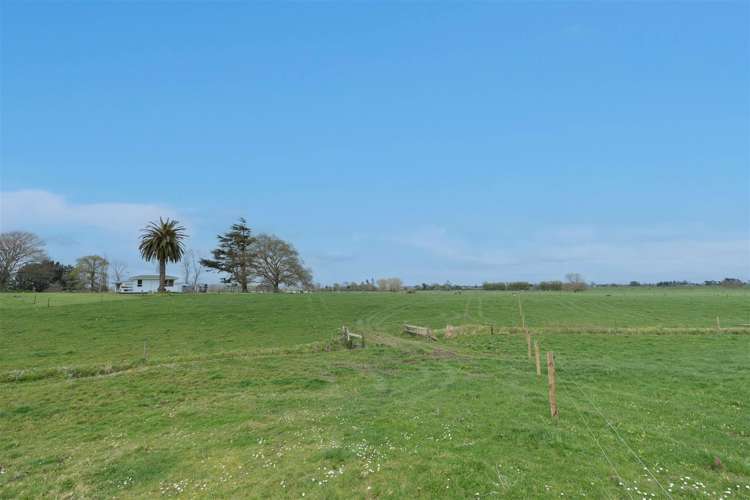 973 Tauhei Road Tauhei_19