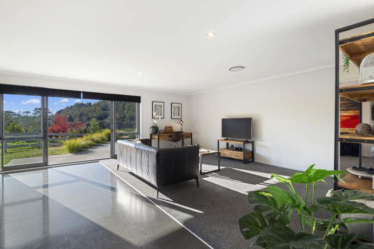 253 Horseshoe Bush Road Dairy Flat_25