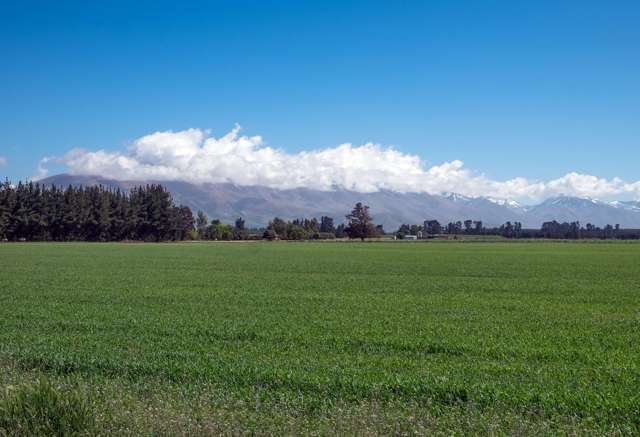 Lot 8/574 Hamilton Road Fairlie_1