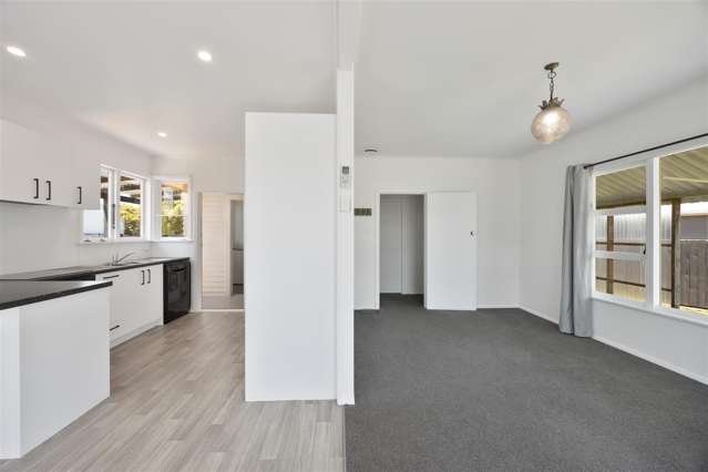 16 Nixon Street Hamilton East_4