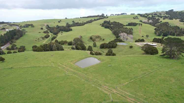 4283 State Highway 12 Dargaville Surrounds_5