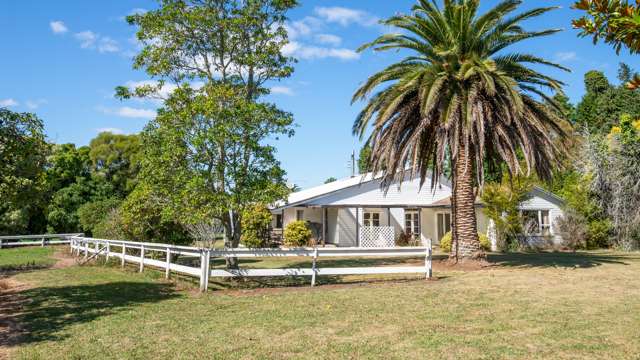 175 Rea Road Hauraki Surrounds_2