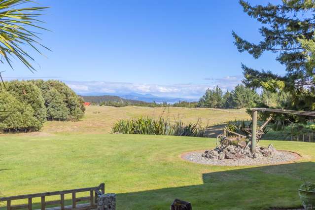 331 Kawakawa Road Lake Taupo_3