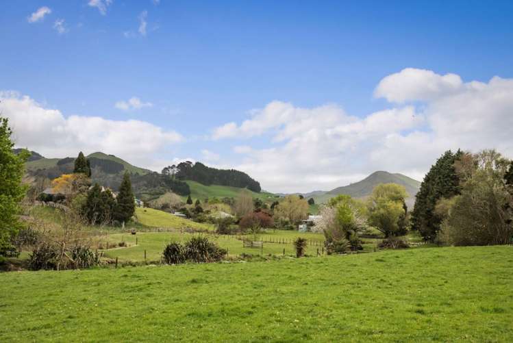 2 Buller Street Waihi_7