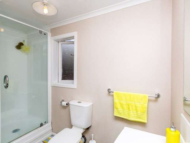 259b Huatoki Street Upper Vogeltown_4