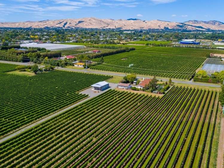 202 Old Renwick Road Springlands_1