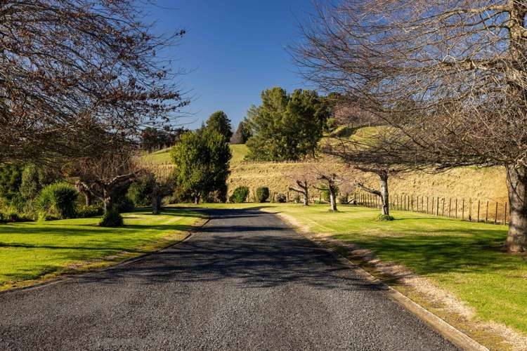 38 Youngson Road Whakamarama_19